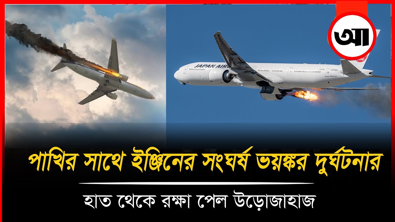 পাখির সাথে ইঞ্জিনের সংঘর্ষ, ভয়ঙ্কর দুর্ঘটনার হাত থেকে রক্ষা পেল উড়োজাহাজ।Ajker Khobor Digital