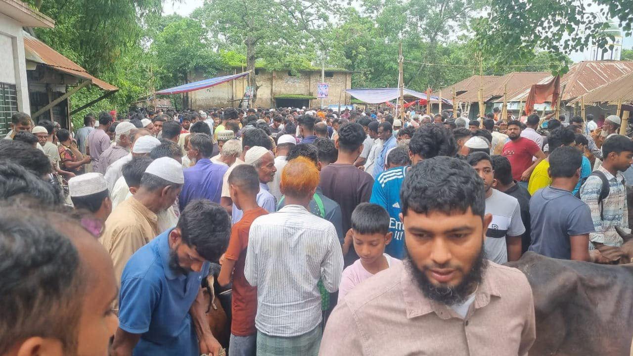 দেবীদ্বারে সড়কে বন্ধ করে পশুর হাট