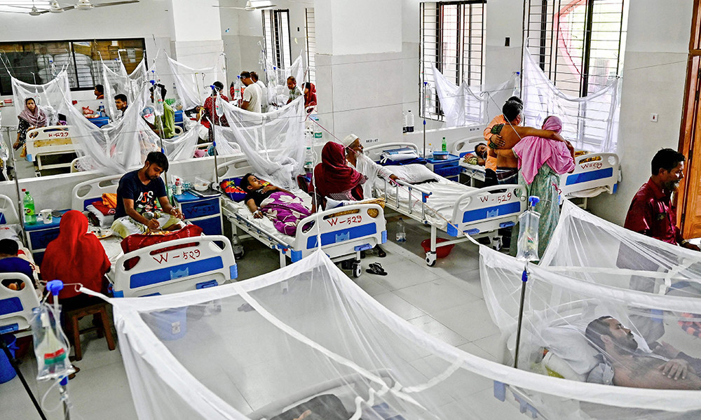 ২৪ ঘণ্টায় ডেঙ্গুতে আক্রান্ত ২১২ জন, বরিশালেই ১১০ জন