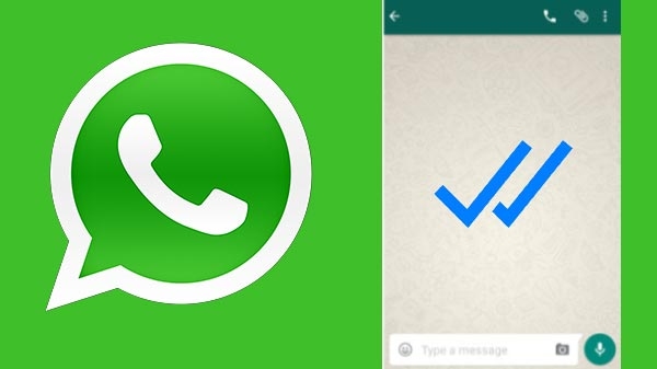 হোয়াটসঅ্যাপের সব চ্যাট থিমে ফিরছে নীল রিড টিক
