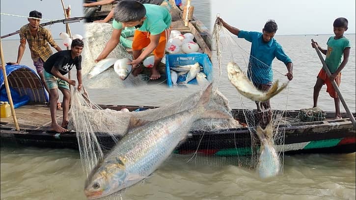 ২২ দিনের নিষেধাজ্ঞা শেষ, শনিবার মধ্যরাতে সাগরে ফিরবেন জেলেরা
