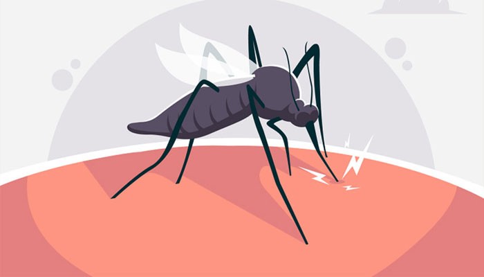 দেশে ডেঙ্গুতে আরও ৬ জনের মৃত্যু