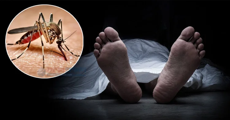 ডেঙ্গুতে আরও ২ জনের মৃত্যু, একদিনে হাসপাতালে ভর্তি ১১৭৯ জন