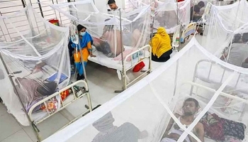 ডেঙ্গুতে আরও ৬ জনের মৃত্যু, একদিনে হাসপাতালে ভর্তি ৭৮৮ রোগী