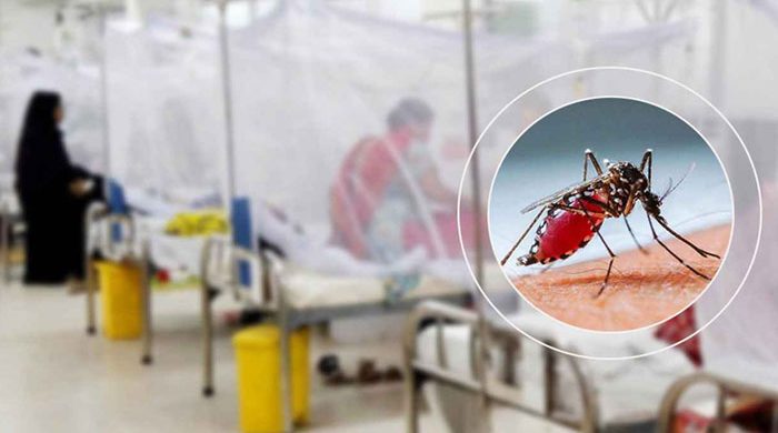 ডেঙ্গুতে ৫ জনের মৃত্যু, হাসপাতালে ভর্তি ৩৮৭ জন