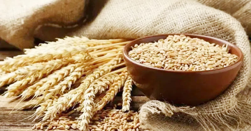 যুক্তরাষ্ট্র থেকে এলো আরও ৫৮ হাজার টনের বেশি গম