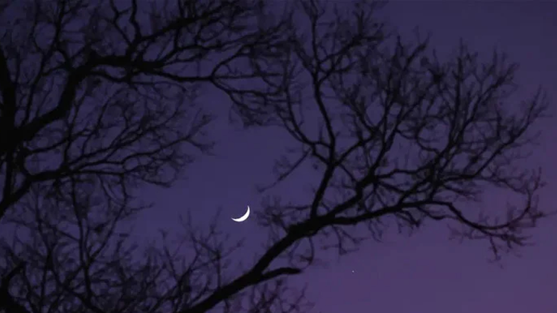 রমজানের চাঁদ দেখতে মঙ্গলবার দেশজুড়ে পর্যবেক্ষণের আহ্বান সৌদির