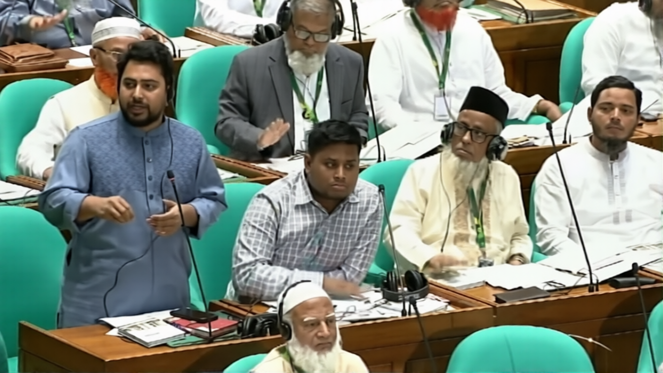 সংসদের কার্যক্রম দেখলে মনে হয় গণভোট হয়নি: নাহিদ ইসলাম