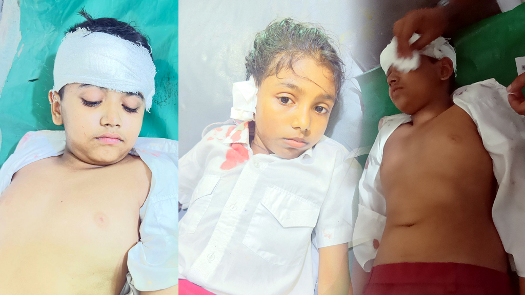 পরিত্যক্ত ভবনে ক্লাস নিতে গিয়ে দুর্ঘটনা, নাজিরপুরে দুই প্রাথমিক শিক্ষার্থী আহত