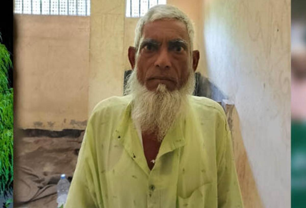 কুমিল্লার ব্রাক্ষণপাড়ায় কৃষি জমিতে গাঁজা চাষ, বৃদ্ধ গ্ৰেপ্তার